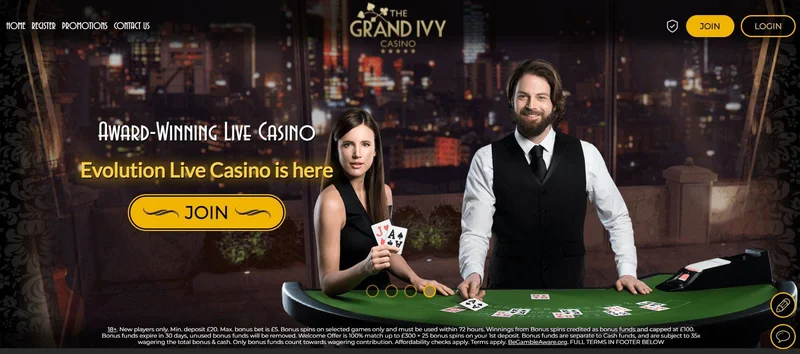 Ivy Casino Live Casino - Professional Dealers and HD Streaming